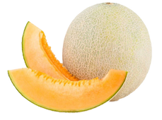 cantalope melon